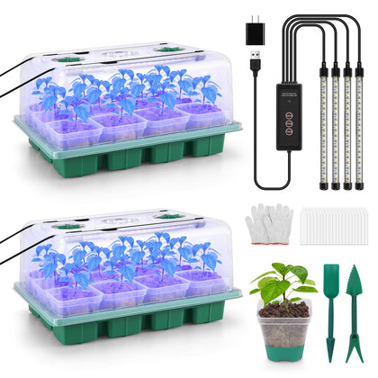 BlumWay seed starter tray with 360-degree spectrum grow light over the dome for even seedling growth.
