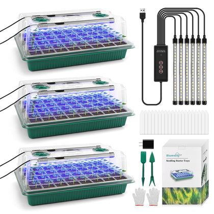 BlumWay seed starter tray with grow light showing seedling setup for faster germination