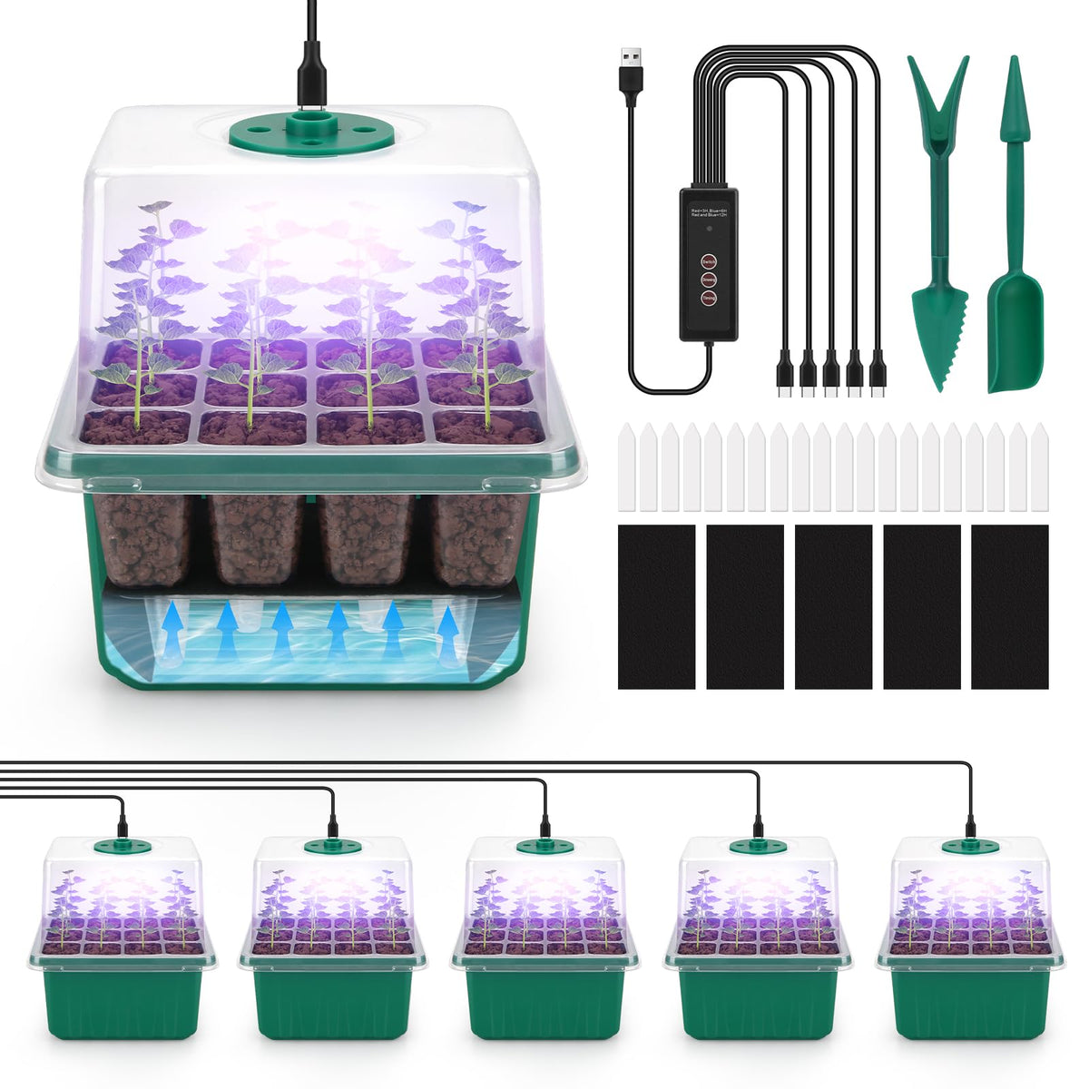 BlumWay seed starter tray with self-watering mat enables worry-free germination.