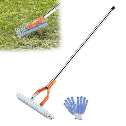 BlumWay Thatch Rake 15-inch head clears thatch for a healthier lawn
