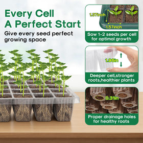 BlumWay three-pack seed starter kit for indoor gardening and family use