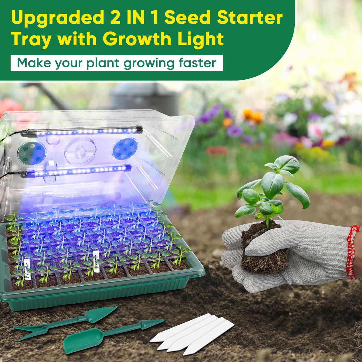 BlumWay transparent, durable tray is reusable for many plants