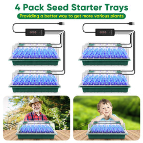 BlumWay seed starter kit suits flowers, vegetables, fruits, and herbs