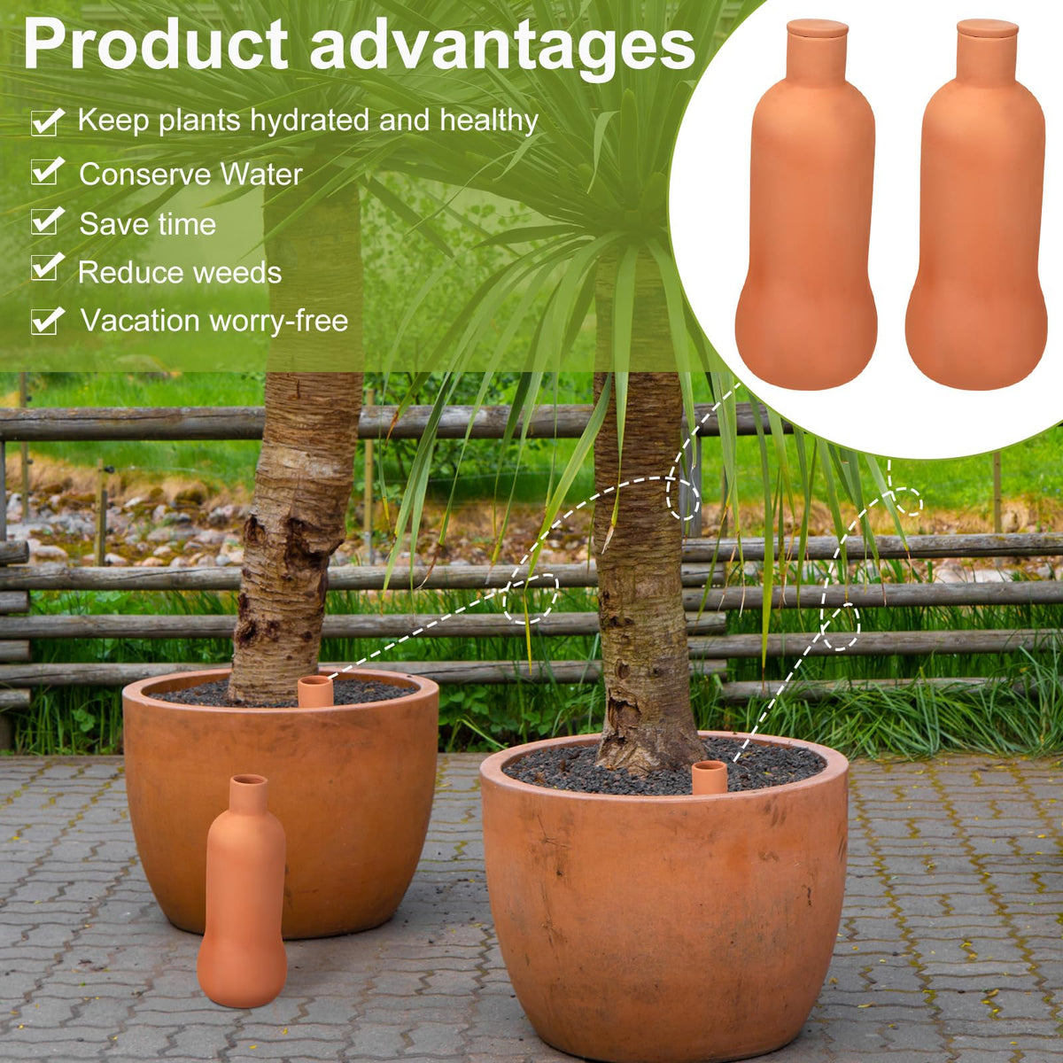 Blushtier bottle-style terra cotta pot aids consistent moisture delivery.