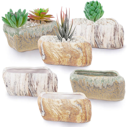 Blushtier ceramic succulent pots—6-pack with stone-like shapes for stylish windowsill displays.