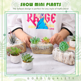 Blushtier drainage-hole succulent pot promoting proper watering for healthy plants.