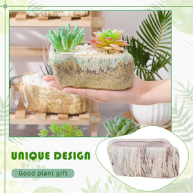 Blushtier mini garden display with compact planters for tiny greens.