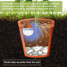 Blushtier self-watering pot indoors use promotes healthy indoor plant hydration