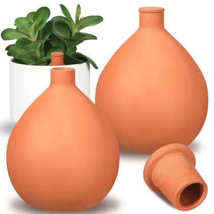 Blushtier terra cotta watering pot closeup with self-watering design for easy care