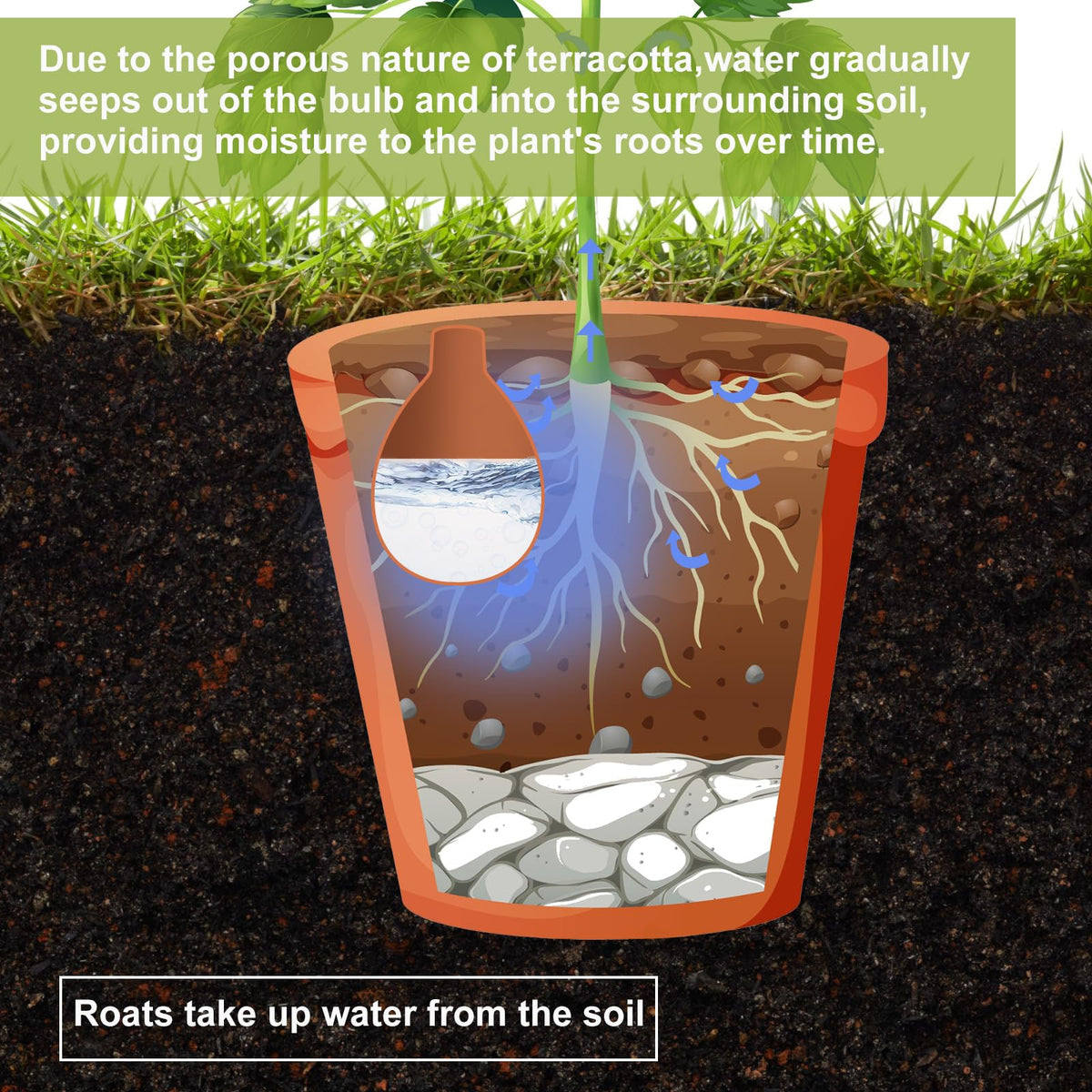 Blushtier terra cotta water reservoir cap enables easy refilling.