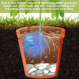 Blushtier terracotta pot ideal for indoor-outdoor plant placement.
