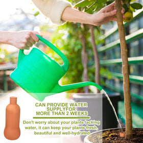 Blushtier terracotta self-watering pot with 1L capacity for steady hydration.