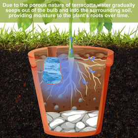 Blushtier terracotta watering pot buried in soil for steady moisture.