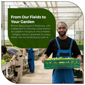 Bmore Spicy garden challenge pack label highlights heirloom varieties for adventurous growers.