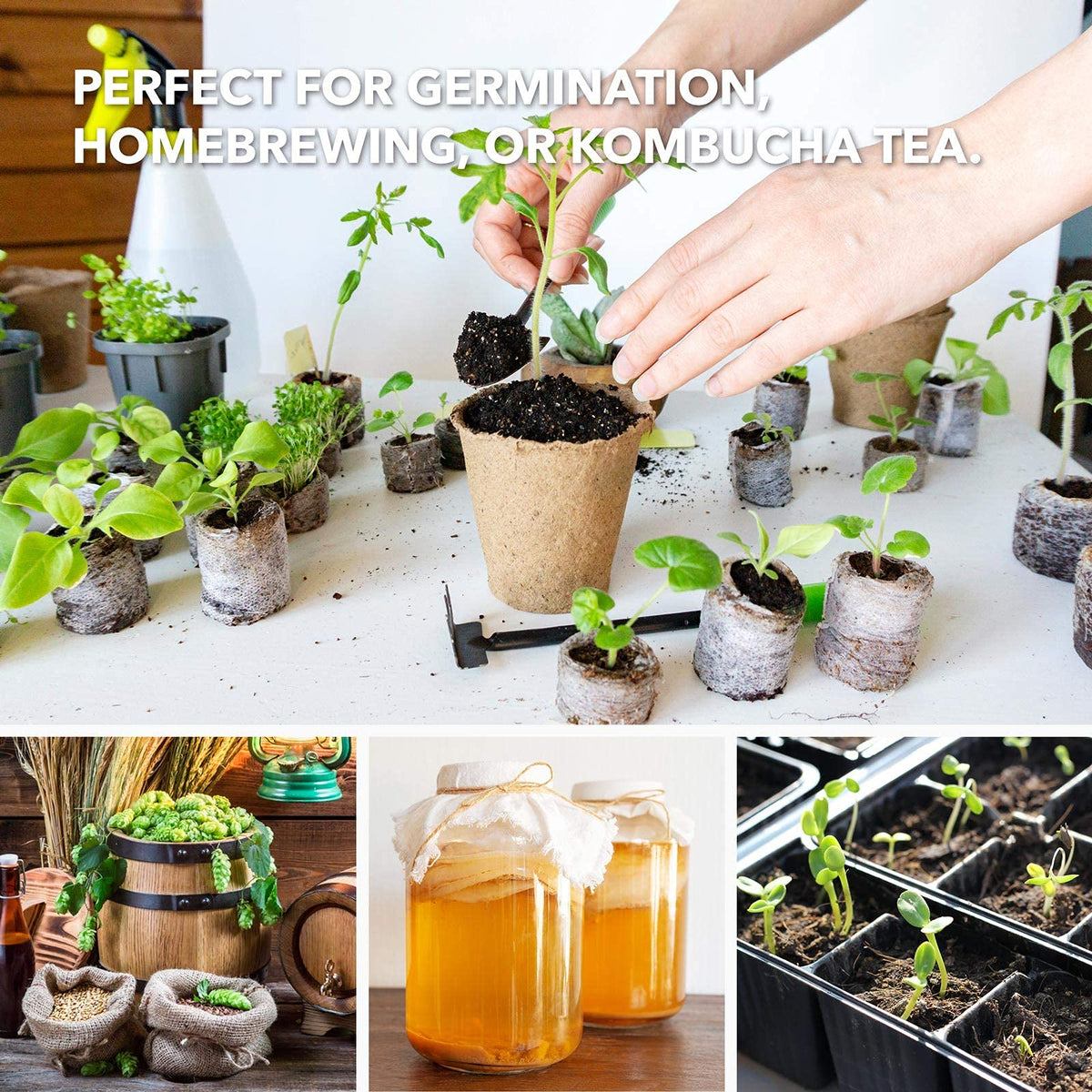 BN-LINK seedling heat mat in action provides stable warmth for germination and growth