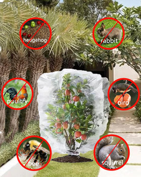 Bntiomtet garden netting shielding vegetables in outdoor beds.