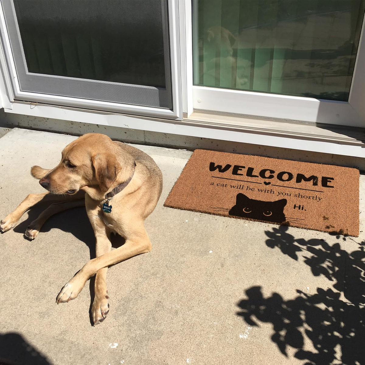 Bnwepo Black Cat Welcome Mat at outdoor entrance with weather-ready backing.