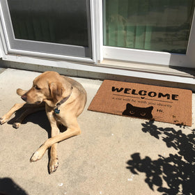 Bnwepo Black Cat Welcome Mat at outdoor entrance with weather-ready backing.