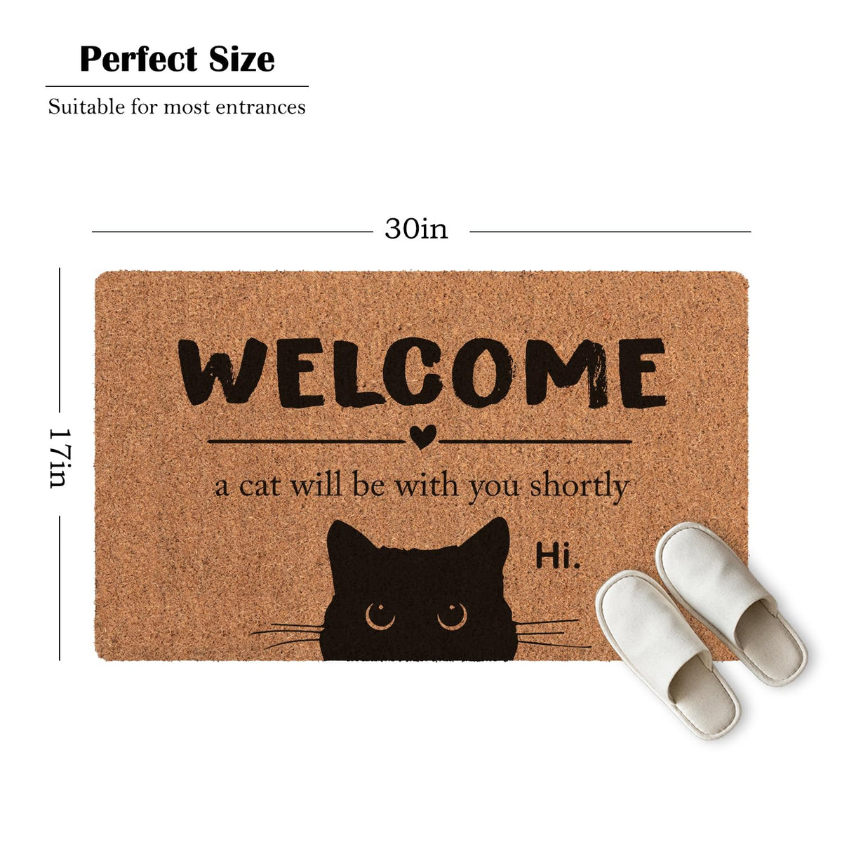 Bnwepo Black Cat Welcome Mat beside pet area, built to resist wear.