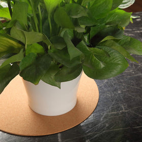 Boao hot plate coaster protects surfaces from heat and drips.