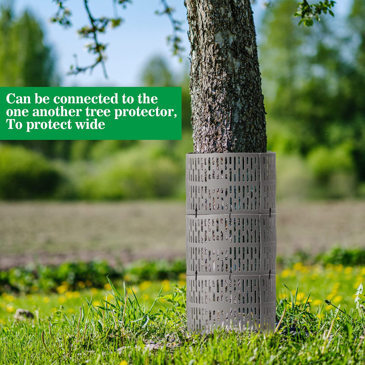 Boao trunk protector features perforated holes for airflow and watering at the base.