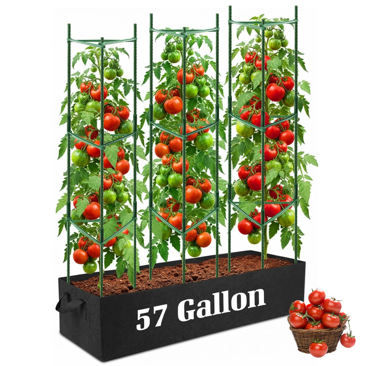 BobbleT 3-pack tomato cages provide a sturdy balcony gardening setup