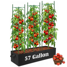 BobbleT 3-pack tomato cages provide a sturdy balcony gardening setup