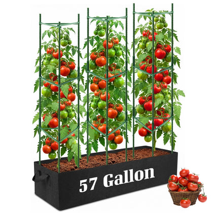 BobbleT 3-pack tomato cages provide a sturdy balcony gardening setup