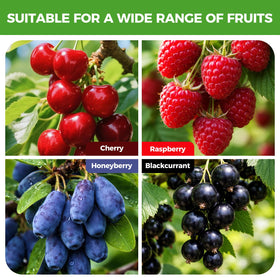 Foldable BobbleT netting stored after harvest
