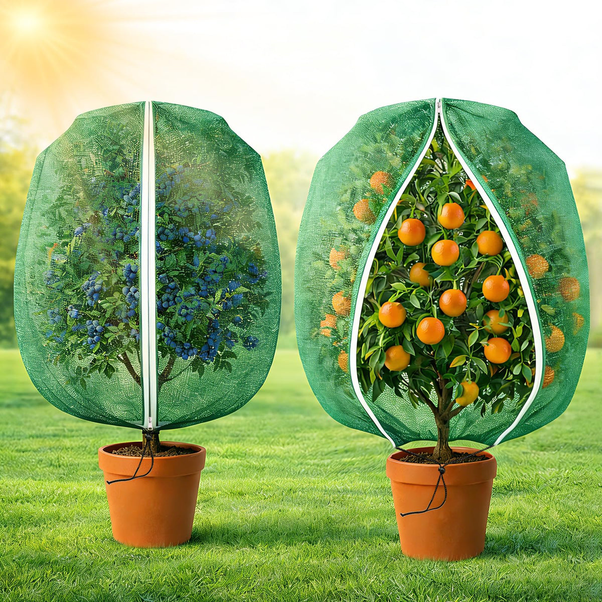 BobbleT fruit-tree shade netting with zipper and drawstring around a ripe tree to protect fruit