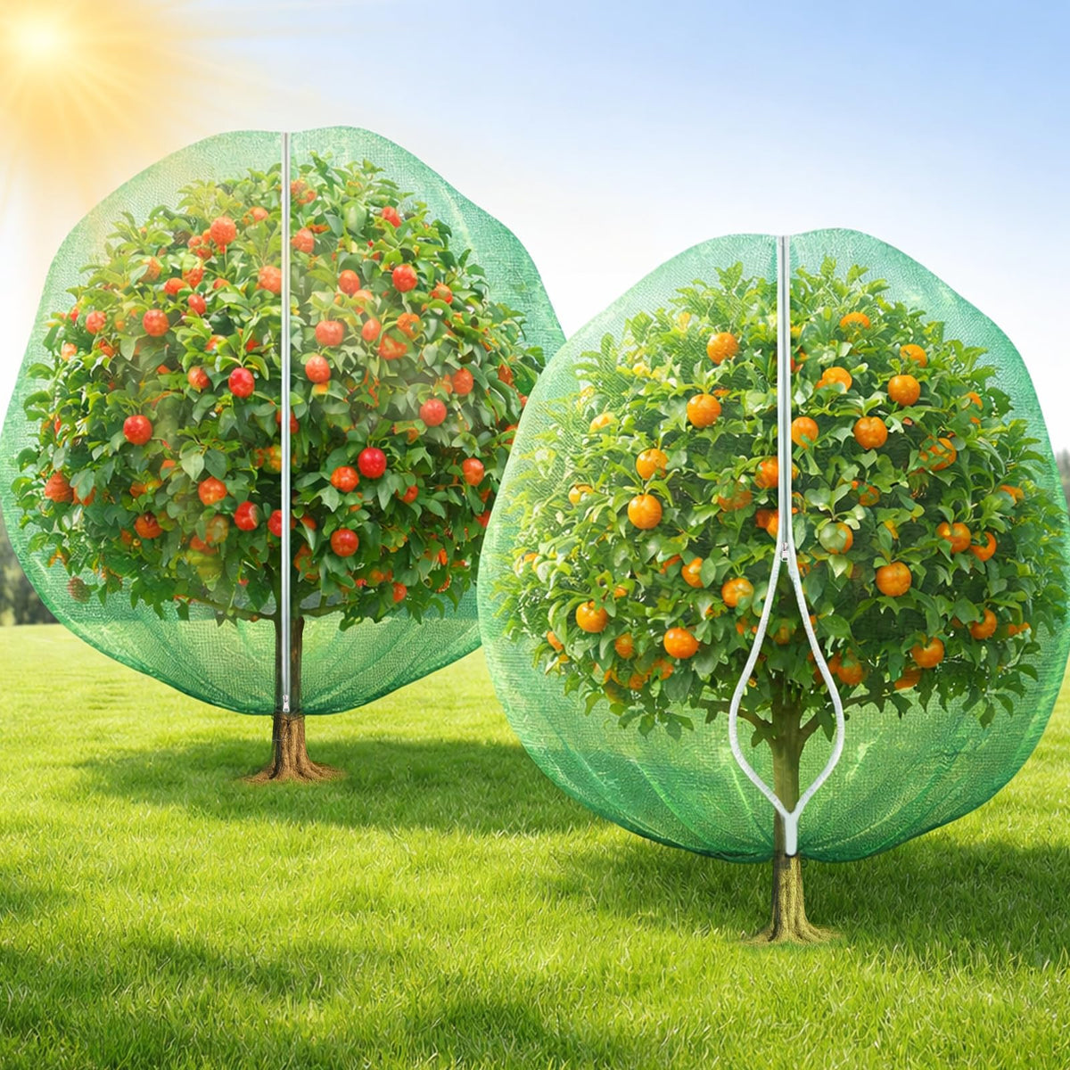 BobbleT shade net helps create a cooler microclimate for fruit trees