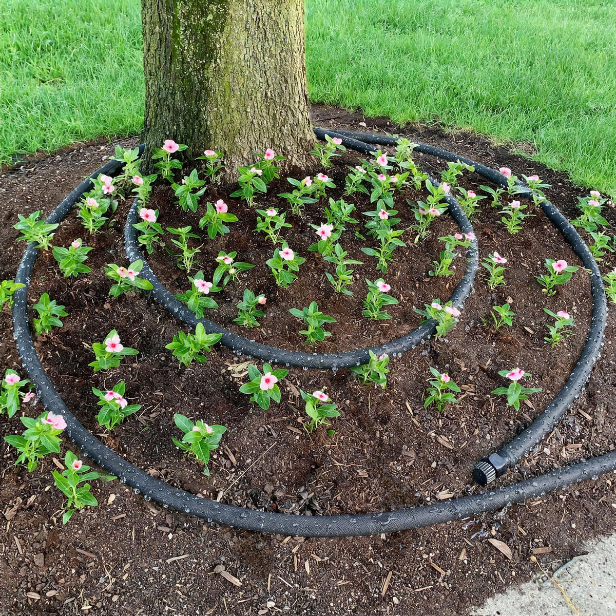 BobbleT hose connected to a water source via 3/4-inch fitting