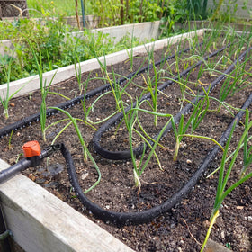 BobbleT operates at low pressure for steady, even watering