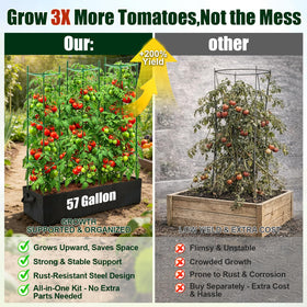 BobbleT triangular cages deliver wind-stable support for heavy vines