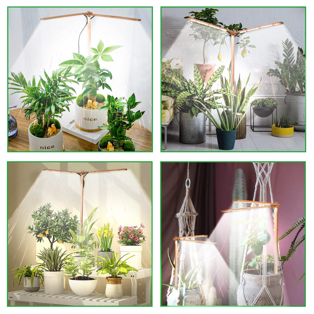bodkar compact grow light for dark corner spaces