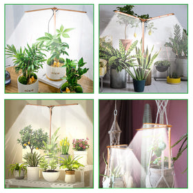 bodkar compact grow light for dark corner spaces