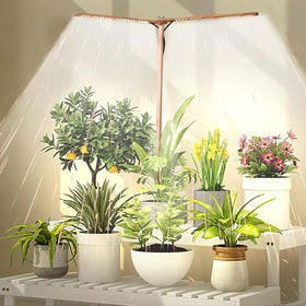 bodkar wooden grow light 2head with full spectrum for indoor plants and decor