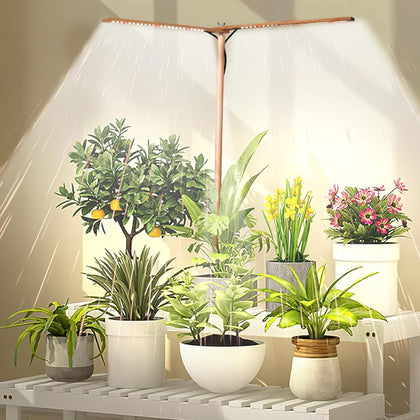 bodkar wooden grow light 2head with full spectrum for indoor plants and decor