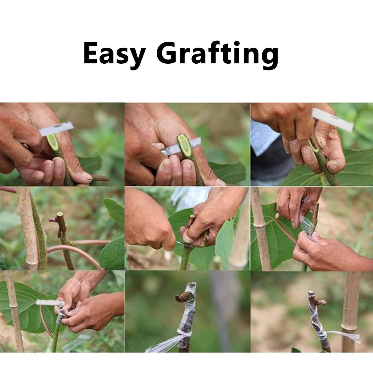 BODLYL bark lifter aids bark lifting during grafting tasks