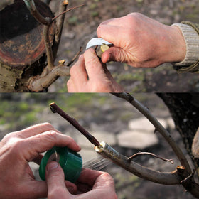 BODLYL garden pruning and grafting kit for floral and fruit trees