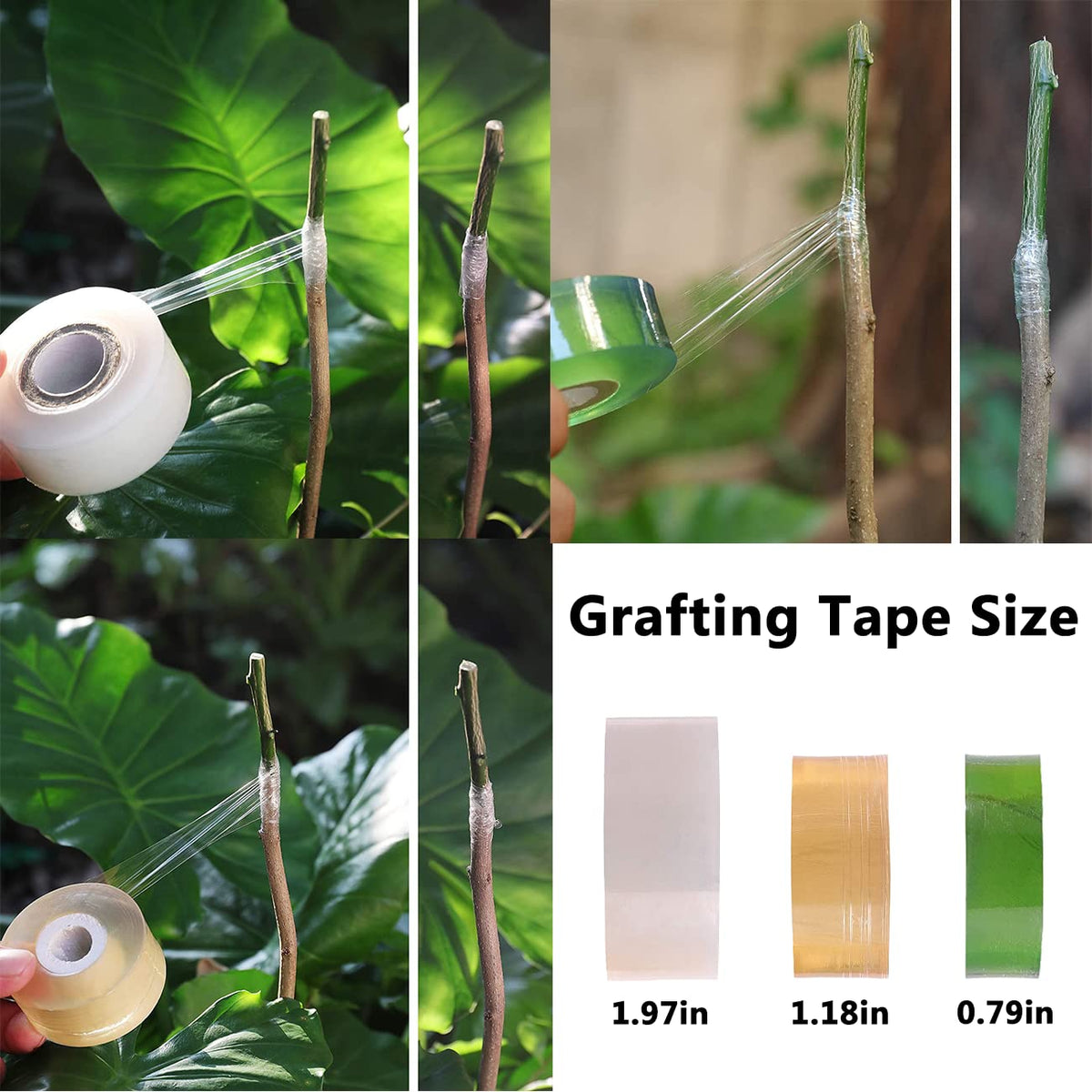 BODLYL grafting tape yellow 1.2in for mid-size branches