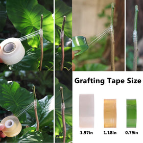 BODLYL grafting tape yellow 1.2in for mid-size branches