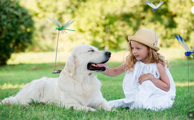 BOHESI 6-pack provides versatile garden decor and pest control options.