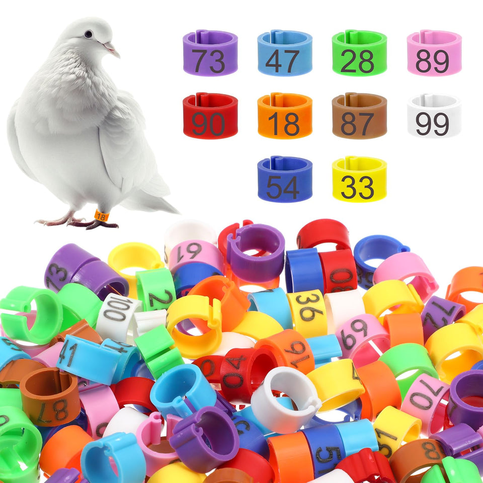 BOHUIZ 8mm leg bands in 10 colors for quick bird identification.