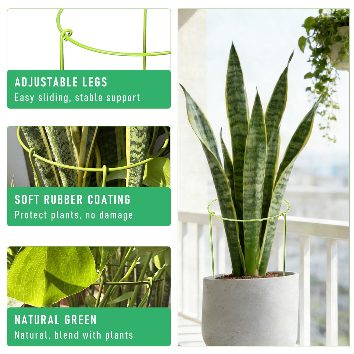 Boinio monstera cage supports heavy stems and prevents drooping.