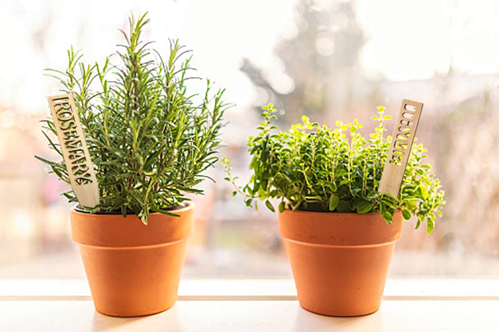 Boldernest 12-herb labels included to plan flavor profiles