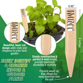 Boldernest bamboo marker inserted into soil for easy labeling