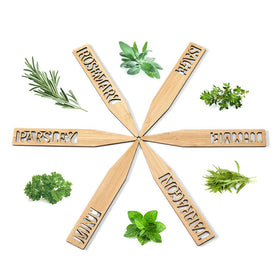 Boldernest eco-friendly garden labels highlighting plastic-free labeling
