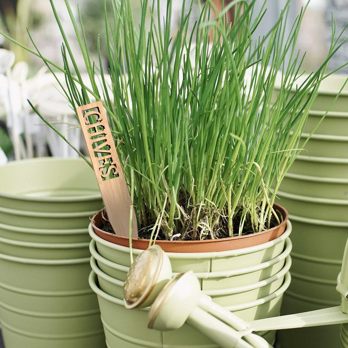Boldernest herb labels with Basil and Chives clearly marking bed sections