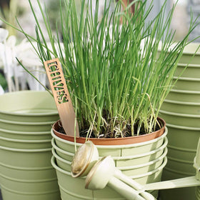 Boldernest herb labels with Basil and Chives clearly marking bed sections